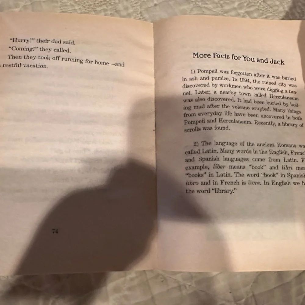 Vacation under the volcano- Magic tree house #13 - Picture 11 of 12